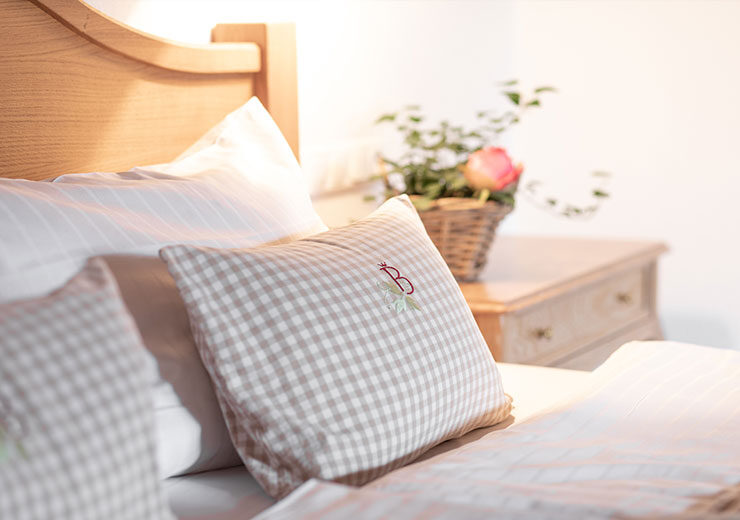 Alpina-Apartment-2